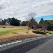 ヒメ日記 2025/11/18 21:09 投稿 成瀬まこ プレジデントハウス