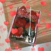 ヒメ日記 2025/11/19 20:02 投稿 成瀬まこ プレジデントハウス