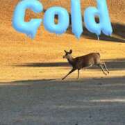 ヒメ日記 2026/01/11 16:31 投稿 成瀬まこ プレジデントハウス