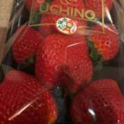 ヒメ日記 2026/01/14 02:20 投稿 成瀬まこ プレジデントハウス