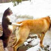 ヒメ日記 2026/02/20 05:02 投稿 成瀬まこ プレジデントハウス