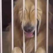 ヒメ日記 2026/02/27 13:26 投稿 成瀬まこ プレジデントハウス