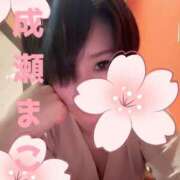 ヒメ日記 2026/03/10 18:02 投稿 成瀬まこ プレジデントハウス