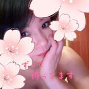 ヒメ日記 2026/03/31 08:00 投稿 成瀬まこ プレジデントハウス