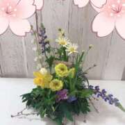 ヒメ日記 2026/04/01 17:32 投稿 成瀬まこ プレジデントハウス