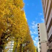 ヒメ日記 2025/11/29 08:53 投稿 さら 府中ダービー