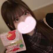 ヒメ日記 2026/04/07 07:18 投稿 さら 府中ダービー