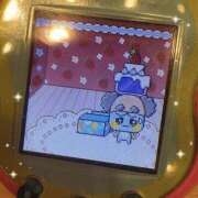 ヒメ日記 2025/09/21 19:31 投稿 ユナ Tiara 姫路