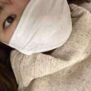 ヒメ日記 2025/03/09 04:37 投稿 柏木おとは 大人めシンデレラ 新横浜店（シンデレラグループ）