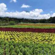 ヒメ日記 2025/10/04 20:20 投稿 遠藤なつ 五十路マダムエクスプレス船橋店(カサブランカグループ)