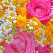 ヒメ日記 2025/10/16 21:02 投稿 遠藤なつ 五十路マダムエクスプレス船橋店(カサブランカグループ)