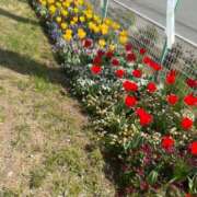 ヒメ日記 2025/10/25 23:04 投稿 遠藤なつ 五十路マダムエクスプレス船橋店(カサブランカグループ)