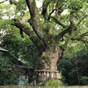 ヒメ日記 2025/11/08 18:40 投稿 遠藤なつ 五十路マダムエクスプレス船橋店(カサブランカグループ)