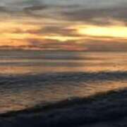 ヒメ日記 2025/11/09 23:34 投稿 遠藤なつ 五十路マダムエクスプレス船橋店(カサブランカグループ)