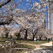 ヒメ日記 2026/03/30 09:44 投稿 遠藤なつ 五十路マダムエクスプレス船橋店(カサブランカグループ)