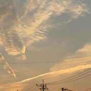 ヒメ日記 2026/04/11 20:04 投稿 遠藤なつ 五十路マダムエクスプレス船橋店(カサブランカグループ)