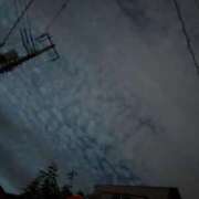 ヒメ日記 2025/11/27 11:42 投稿 もか 小田原人妻城