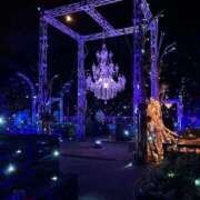 ヒメ日記 2026/02/05 11:14 投稿 もか 小田原人妻城