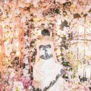 ヒメ日記 2025/10/12 11:41 投稿 【ひいらぎ】未経験の究極美女 おねだり宮崎