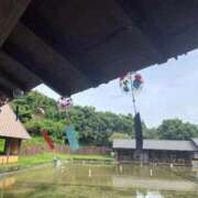 ヒメ日記 2025/10/20 08:58 投稿 【ひいらぎ】未経験の究極美女 おねだり宮崎