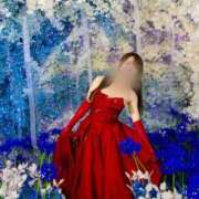 ヒメ日記 2025/11/16 11:28 投稿 【ひいらぎ】未経験の究極美女 おねだり宮崎