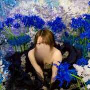 ヒメ日記 2025/11/16 21:08 投稿 【ひいらぎ】未経験の究極美女 おねだり宮崎