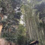 ヒメ日記 2025/11/19 20:14 投稿 【ひいらぎ】未経験の究極美女 おねだり宮崎