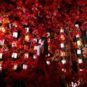 ヒメ日記 2025/11/20 09:56 投稿 【ひいらぎ】未経験の究極美女 おねだり宮崎