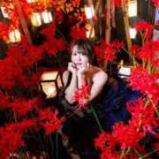 ヒメ日記 2025/11/20 13:28 投稿 【ひいらぎ】未経験の究極美女 おねだり宮崎