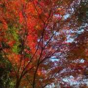 ヒメ日記 2025/12/10 09:02 投稿 【ひいらぎ】未経験の究極美女 おねだり宮崎