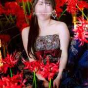 ヒメ日記 2026/02/13 23:58 投稿 【ひいらぎ】未経験の究極美女 おねだり宮崎