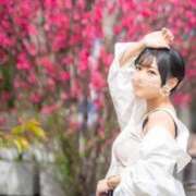 ヒメ日記 2026/03/06 09:48 投稿 【ひいらぎ】未経験の究極美女 おねだり宮崎