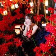 ヒメ日記 2026/04/08 07:35 投稿 【ひいらぎ】未経験の究極美女 おねだり宮崎