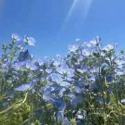 ヒメ日記 2026/04/16 19:38 投稿 【ひいらぎ】未経験の究極美女 おねだり宮崎