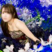 ヒメ日記 2026/04/19 18:25 投稿 【ひいらぎ】未経験の究極美女 おねだり宮崎