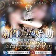 ヒメ日記 2026/04/28 21:58 投稿 【ひいらぎ】未経験の究極美女 おねだり宮崎