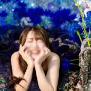 ヒメ日記 2026/05/05 00:08 投稿 【ひいらぎ】未経験の究極美女 おねだり宮崎