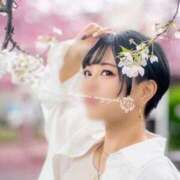 ヒメ日記 2026/06/13 15:28 投稿 【ひいらぎ】未経験の究極美女 おねだり宮崎