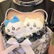 ヒメ日記 2025/07/03 18:47 投稿 りこ しゃんぜりぜ