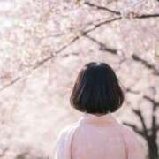 ヒメ日記 2025/03/28 11:09 投稿 瑠花(るか) TRYST