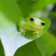 ヒメ日記 2025/04/22 10:01 投稿 長谷部（はせべ） 丸妻 錦糸町店