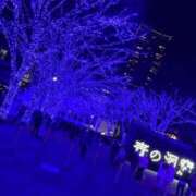 ヒメ日記 2024/12/26 20:58 投稿 美織/みおり 贅沢なひと時