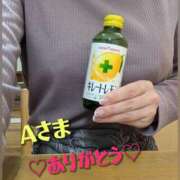 ヒメ日記 2025/05/16 00:43 投稿 ちなつ 横浜人妻セレブリティ（ユメオト）