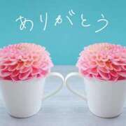 ヒメ日記 2025/05/17 03:19 投稿 ちなつ 横浜人妻セレブリティ（ユメオト）