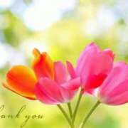 ヒメ日記 2026/01/14 10:00 投稿 ちなつ 横浜人妻セレブリティ（ユメオト）