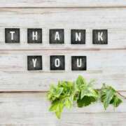 ヒメ日記 2026/01/17 11:00 投稿 ちなつ 横浜人妻セレブリティ（ユメオト）