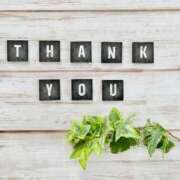 ヒメ日記 2026/02/12 12:00 投稿 ちなつ 横浜人妻セレブリティ（ユメオト）