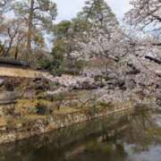ヒメ日記 2026/04/20 15:44 投稿 ちなつ 横浜人妻セレブリティ（ユメオト）