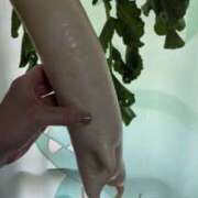 ヒメ日記 2026/04/28 11:30 投稿 ちなつ 横浜人妻セレブリティ（ユメオト）