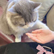 ヒメ日記 2024/12/14 10:47 投稿 のぞみ かりんと秋葉原